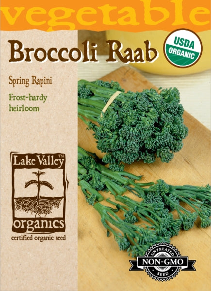 Organic Broccoli Raab Spring Rapini Heirloom