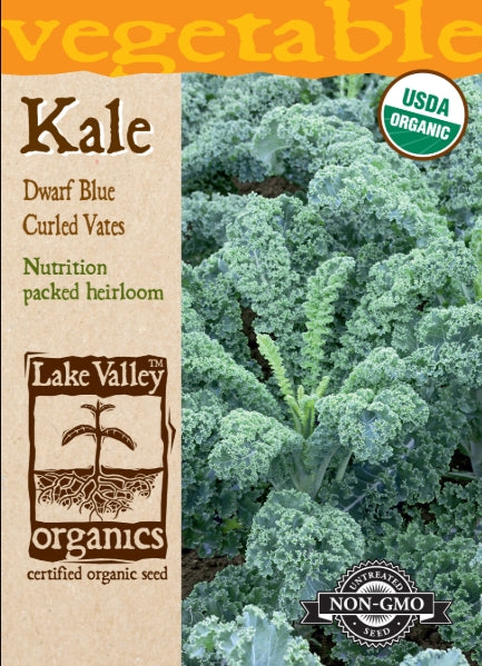Organic Kale Dwarf Blue Curled Vates Heirloom