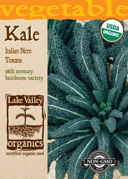 Organic Kale Italian Nero Toscana Heirloom