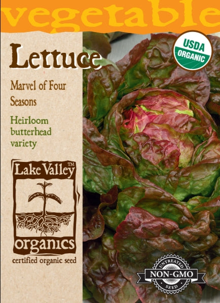 Organic Lettuce Marvel Of Four Seasons Heirloom