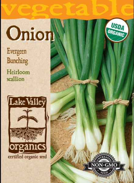Organic Onion Evergreen Bunching Heirloom