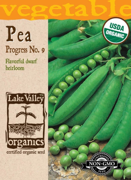 Organic Pea Progress No.9 Heirloom