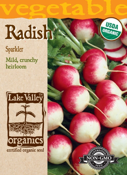 Organic Radish Sparkler Heirloom