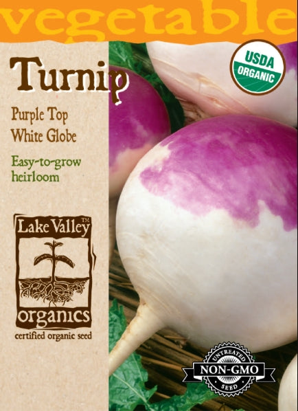 Organic Turnip Purple Top White Globe Heirloom