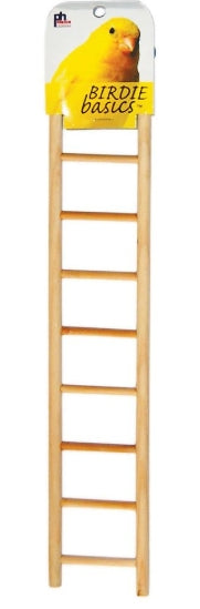 Birdie Basics Ladder 9 Rung