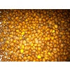Daikon Radish Seed