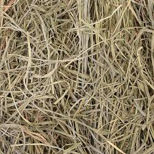 Bag of Hay