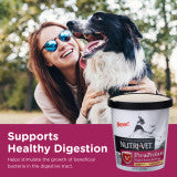 Nutri-Vet Pre & Probiotics Soft Chew for Dogs 120ct