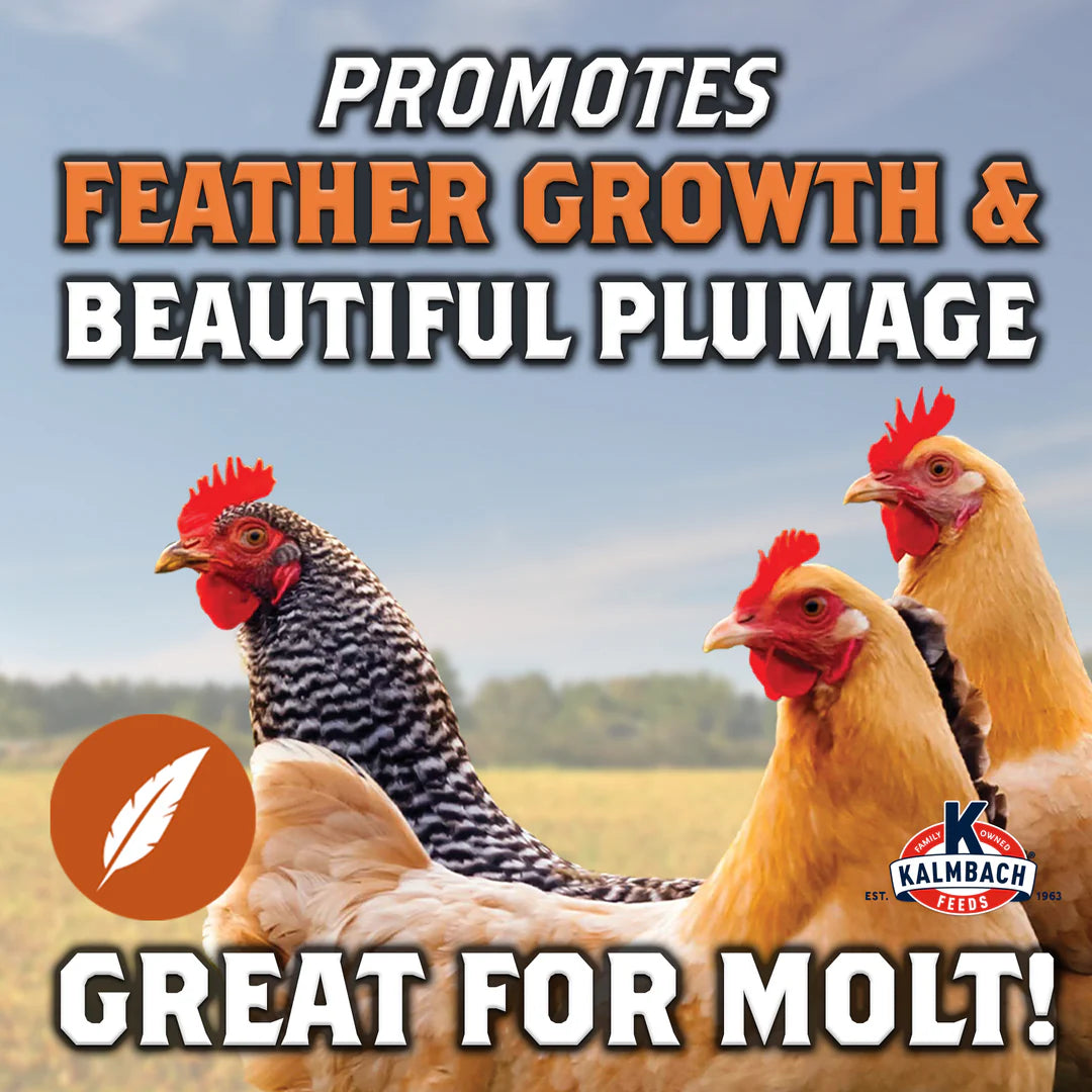 Kalmbach Full Plume® Feathering Feed 50lbs