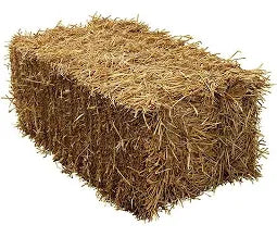 Straw Bale