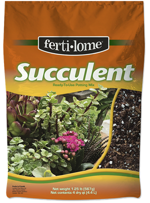Fertilome Succulent Mix 8qt